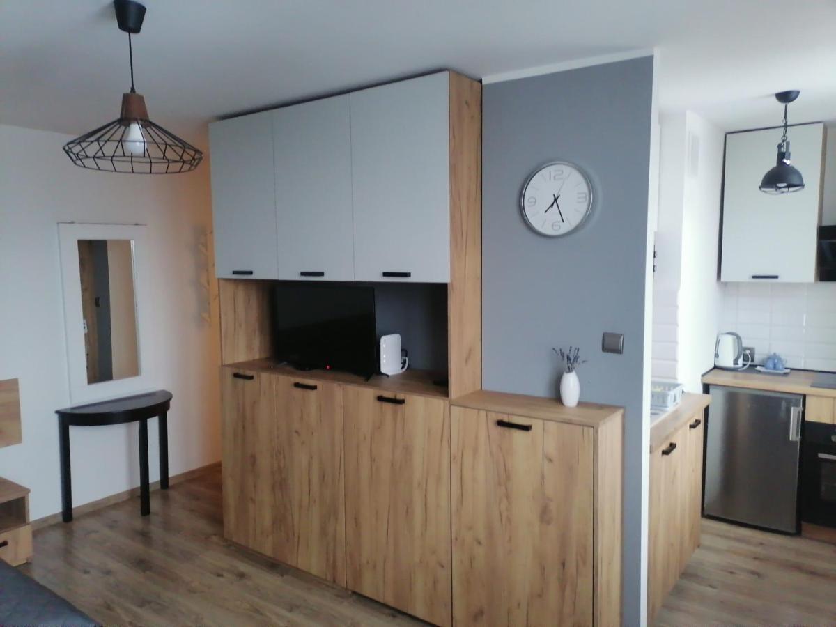 Studio Park Saski 1 & 2 Сандомир Екстериор снимка
